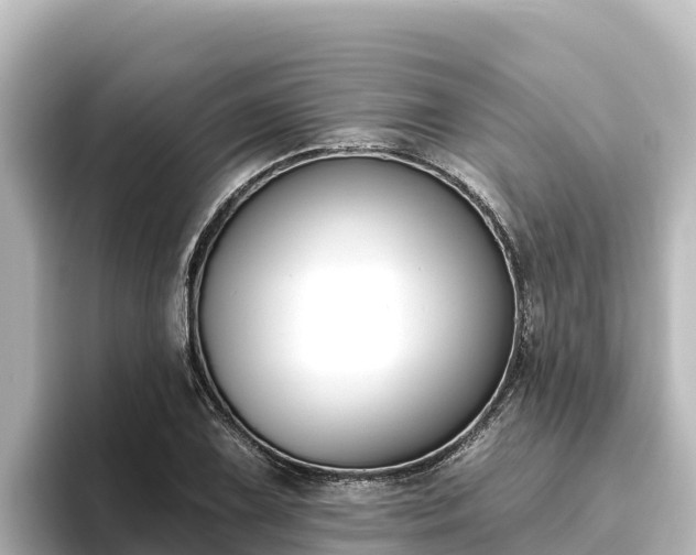 X0000096431075200801311428