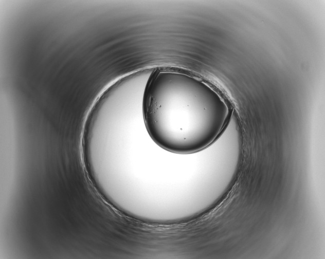 X0000096431076200801311428