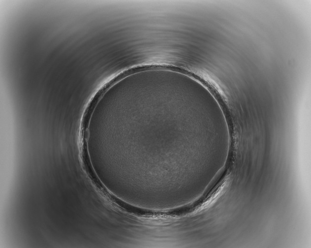 X0000096431077200801311428