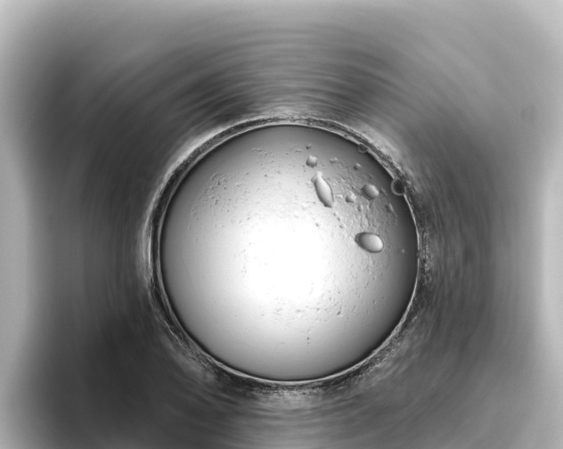 X0000096431078200801311428