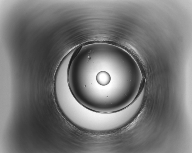 X0000096431081200801311427