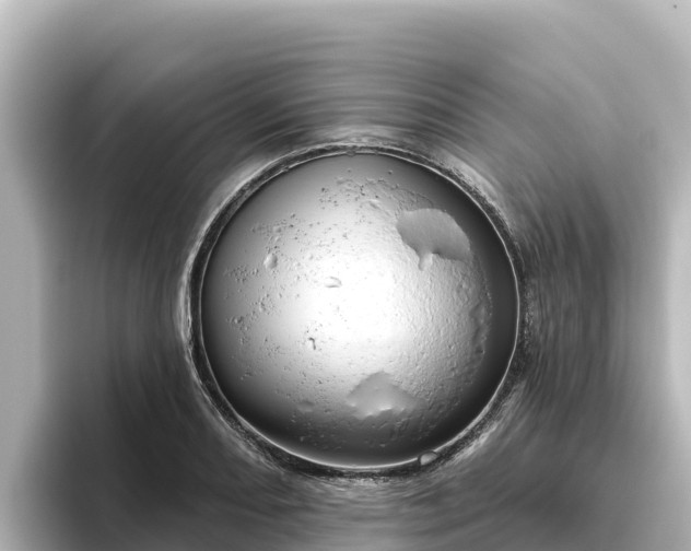 X0000096431082200801311427