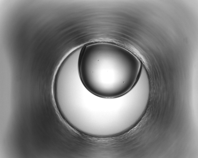 X0000096431084200801311427