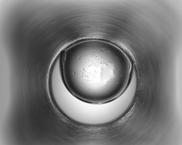 X0000096431085200801311427