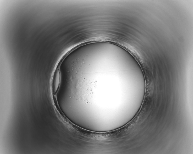 X0000096431086200801311427