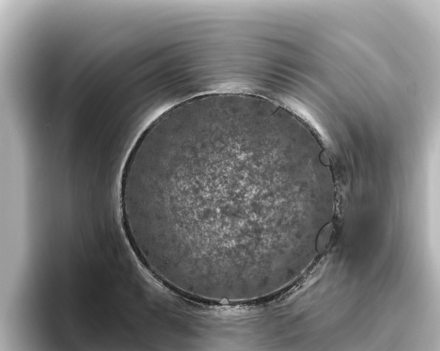 X0000096431087200801311427