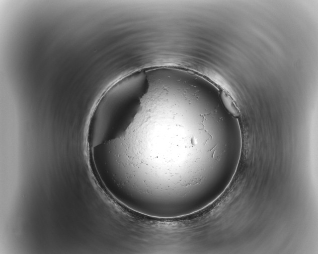 X0000096431088200801311427