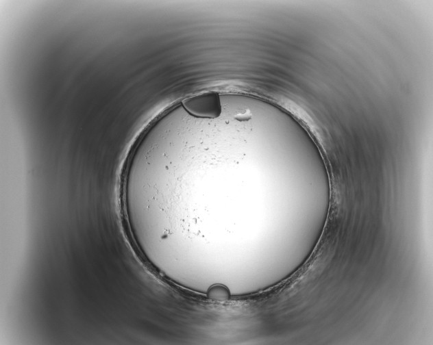X0000096431090200801311427