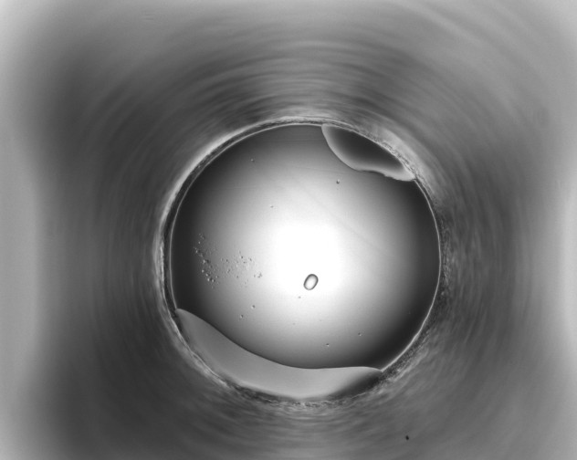X0000096431092200801311427