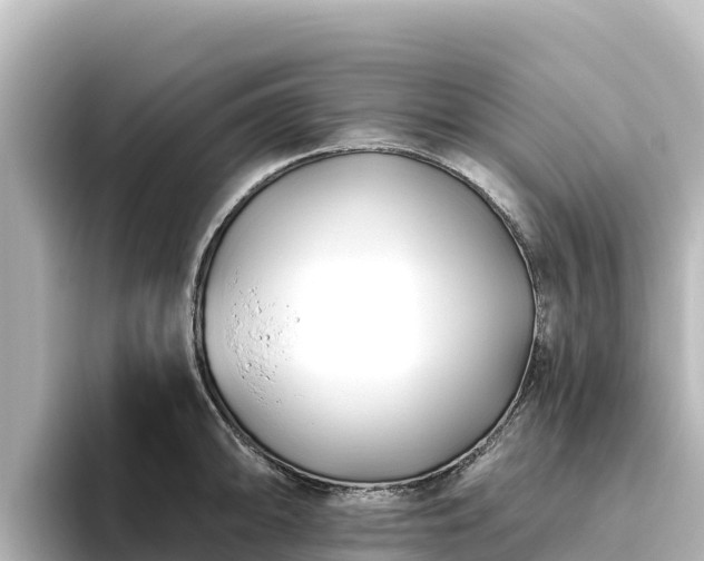 X0000096431094200801311427