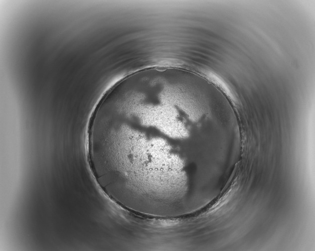 X0000096431095200801311427