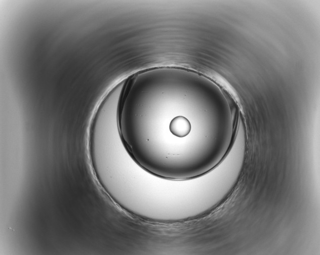 X0000096431096200801311427