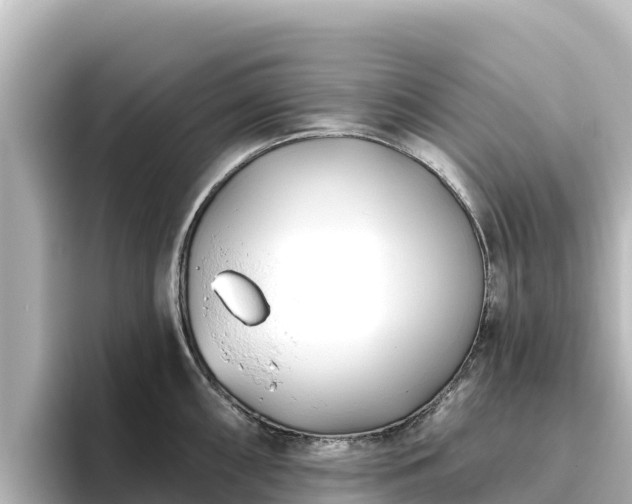 X0000096431098200801311427