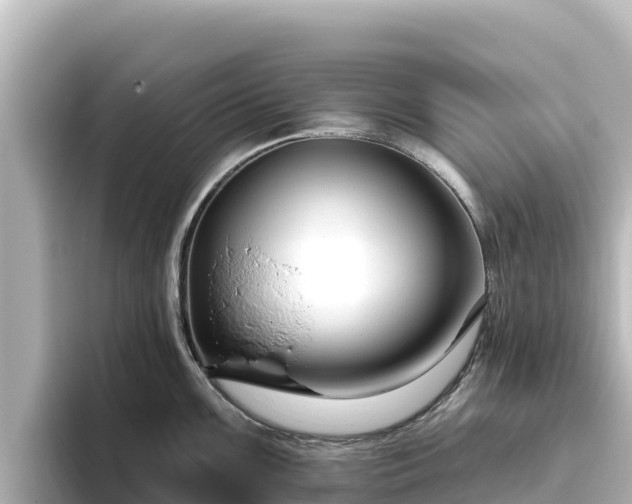X0000096431099200801311427