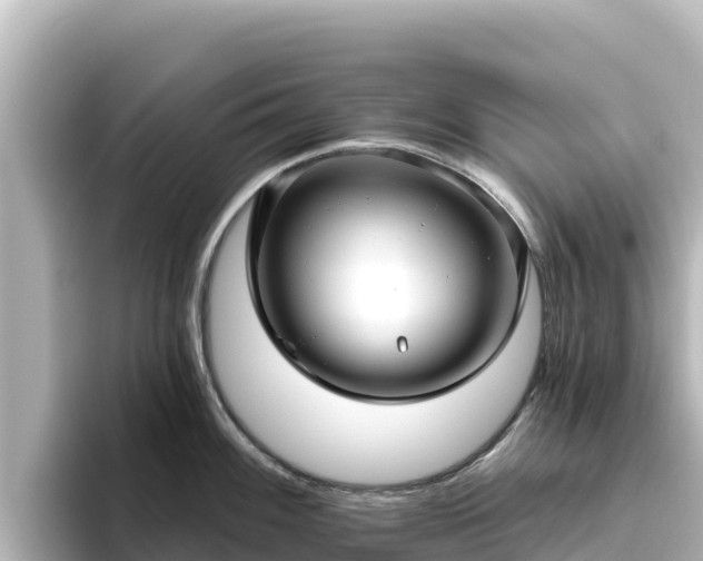 X0000096431100200801311427