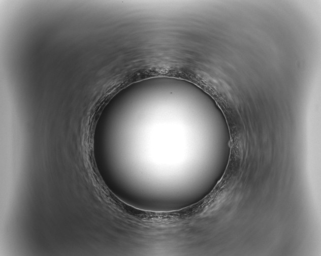 X0000096431105200801311427