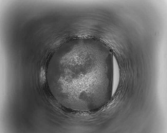 X0000096431106200801311427