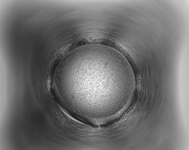 X0000096431108200801311427