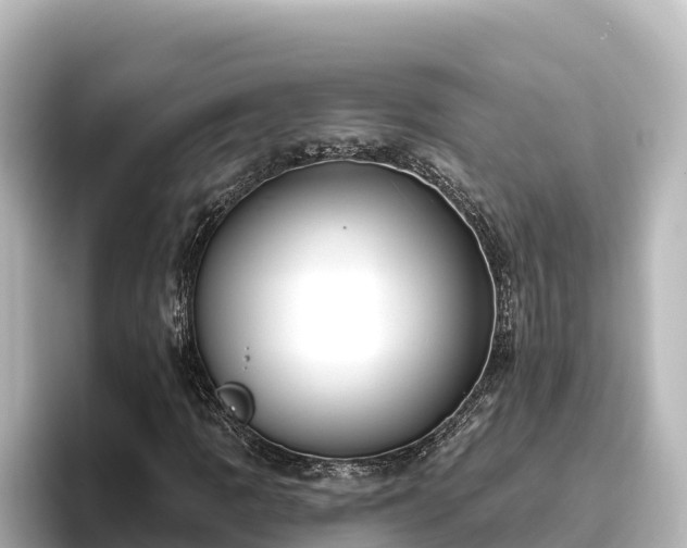 X0000096431109200801311427