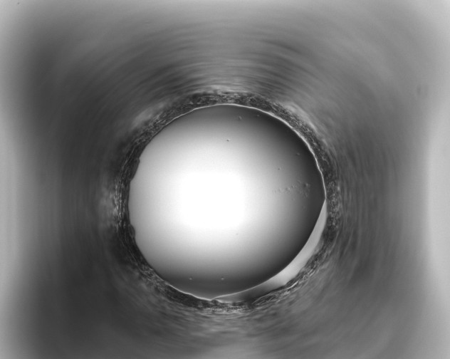 X0000096431110200801311427