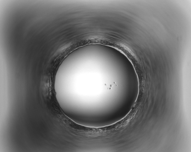 X0000096431111200801311427