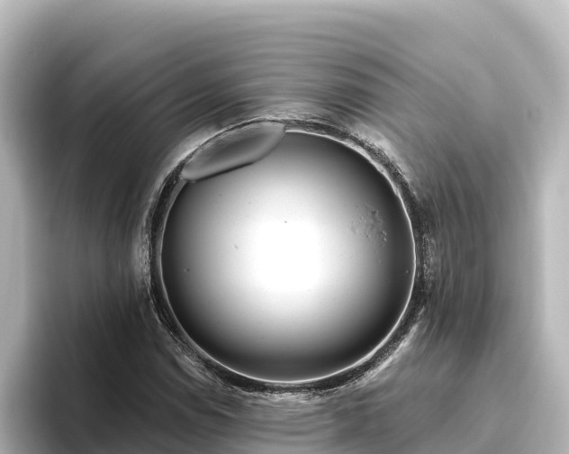 X0000096431114200801311427