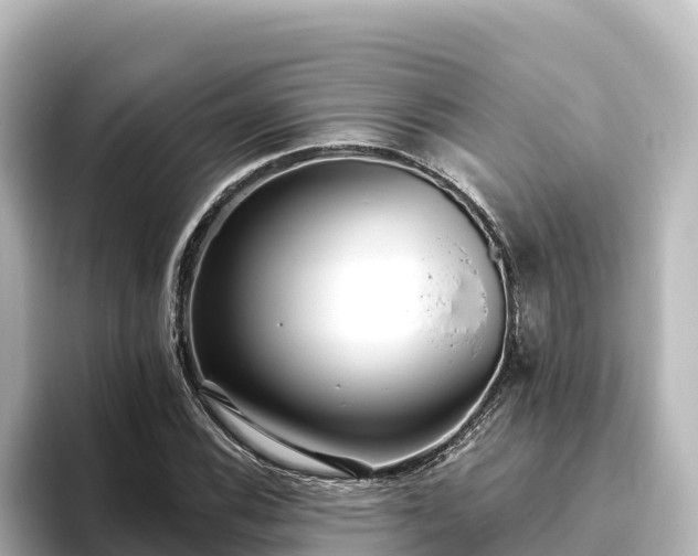 X0000096431116200801311427