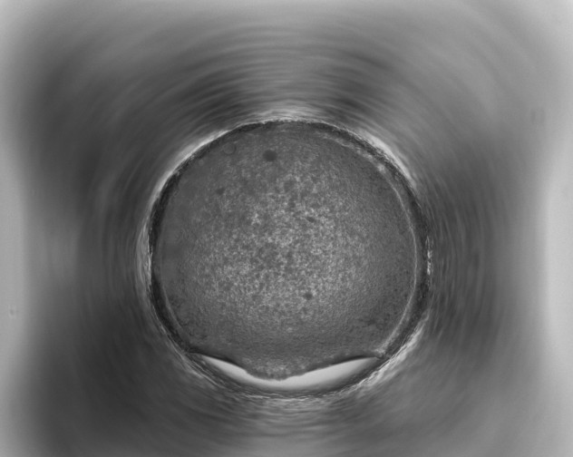 X0000096431117200801311427