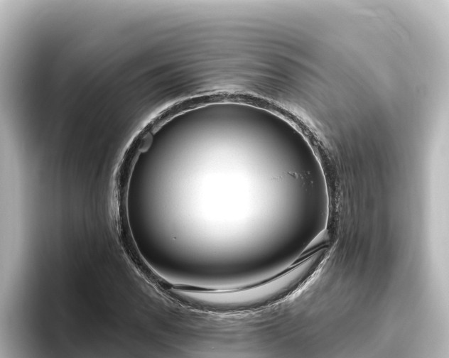 X0000096431118200801311427