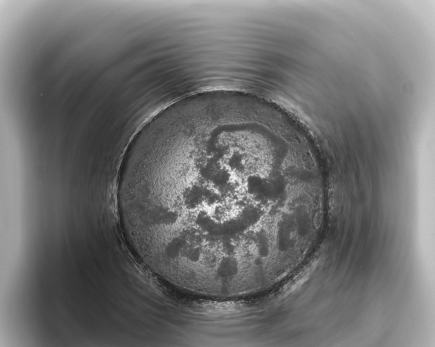 X0000096431121200801311427