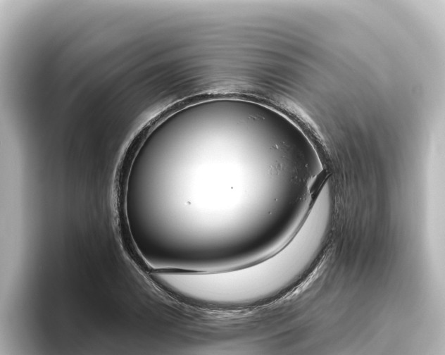 X0000096431122200801311427