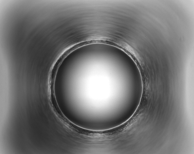 X0000096431124200801311427