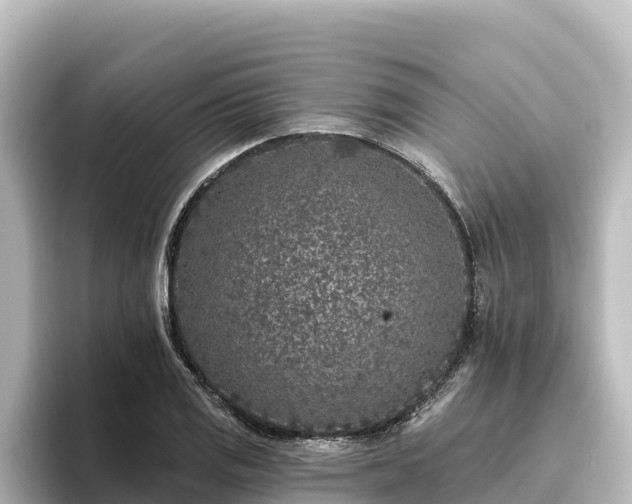 X0000096431125200801311427