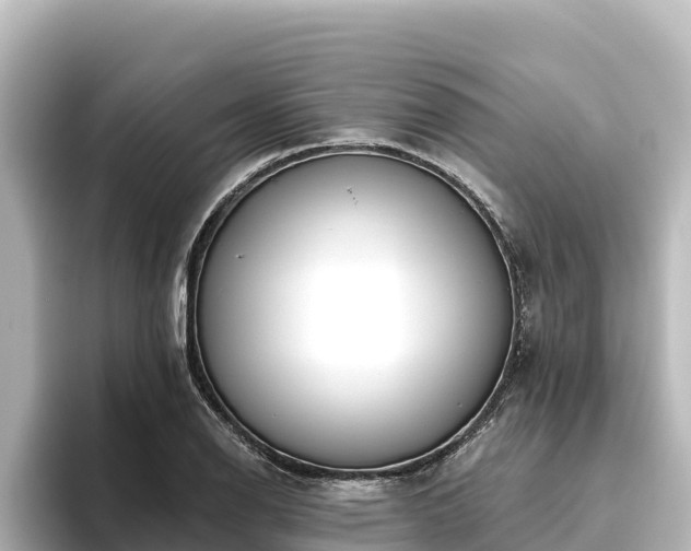 X0000096431126200801311427