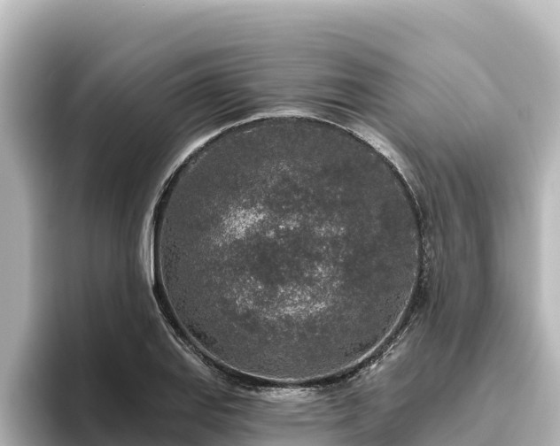 X0000096431127200801311427