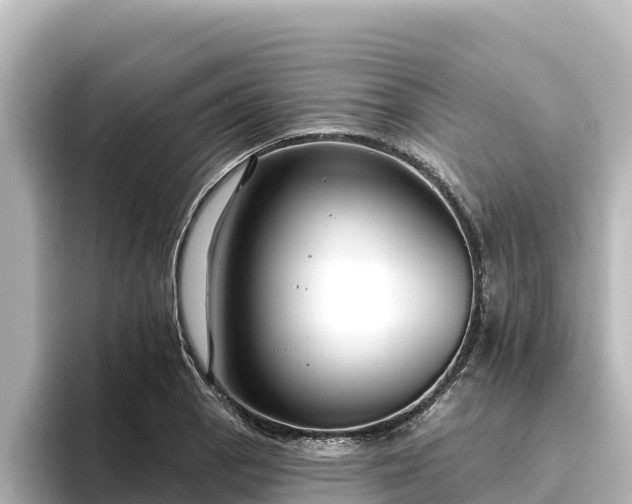 X0000096431129200801311427