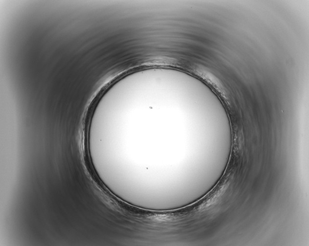 X0000096431130200801311427