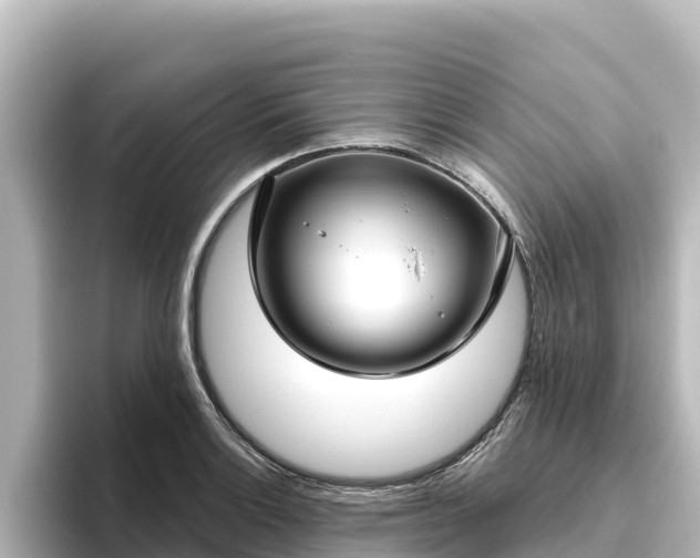 X0000096431132200801311427