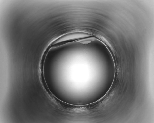 X0000096431133200801311427