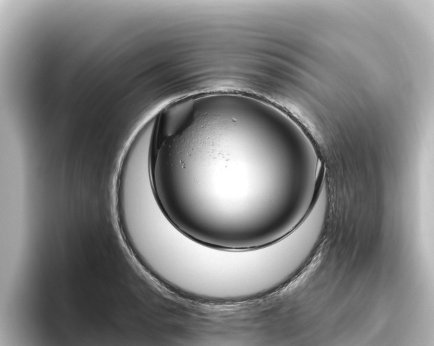 X0000096431134200801311427
