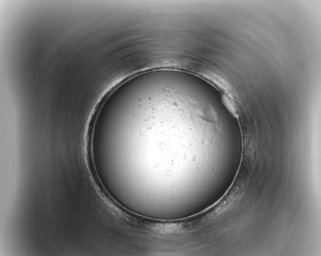 X0000096431135200801311427