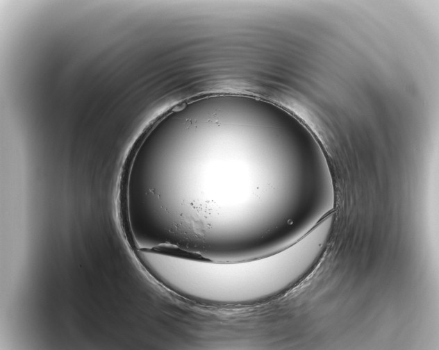 X0000096431139200801311427