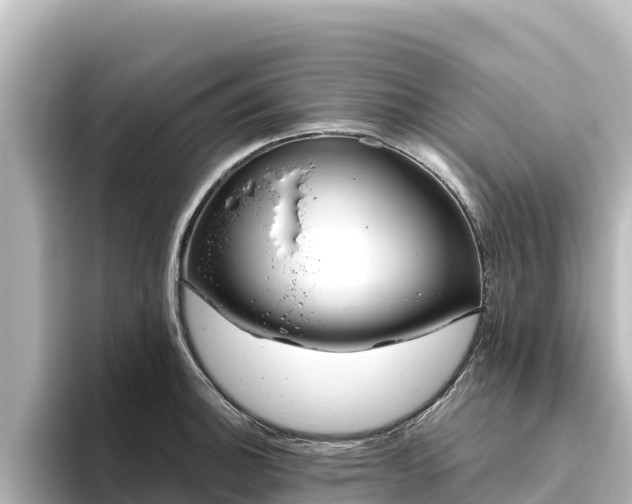 X0000096431140200801311427