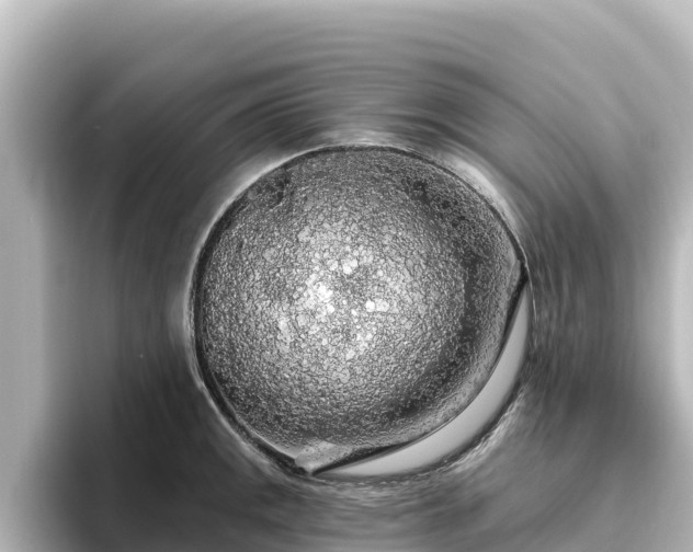 X0000096431141200801311427
