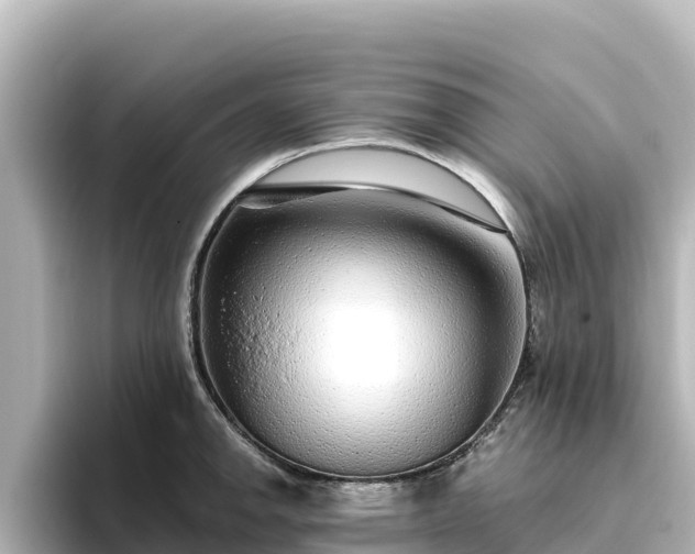 X0000096431142200801311427