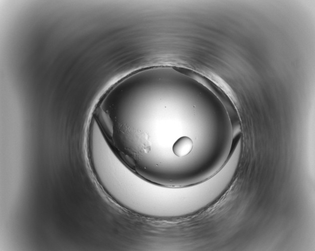 X0000096431144200801311427