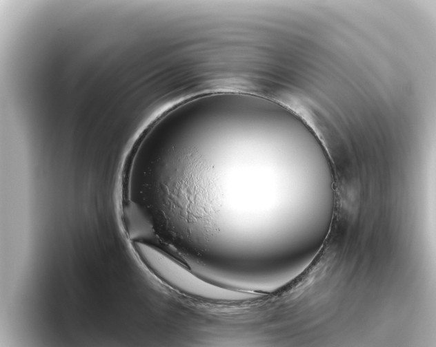 X0000096431147200801311427