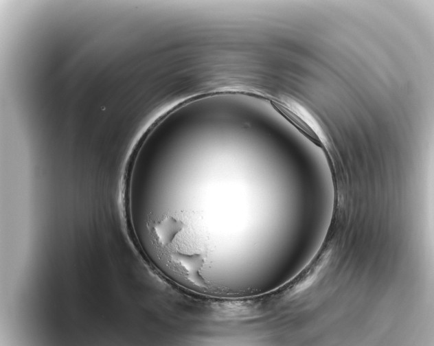 X0000096431149200801311427