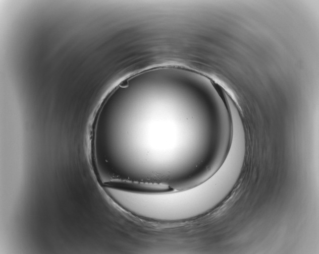 X0000096431151200801311427