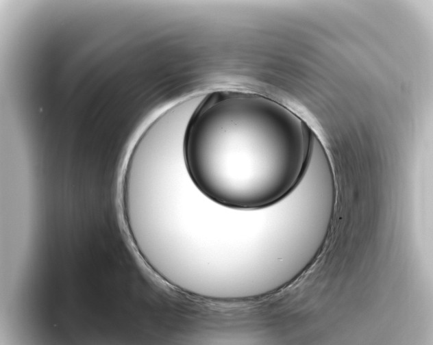 X0000096431152200801311427